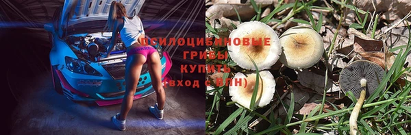 круглые Верея