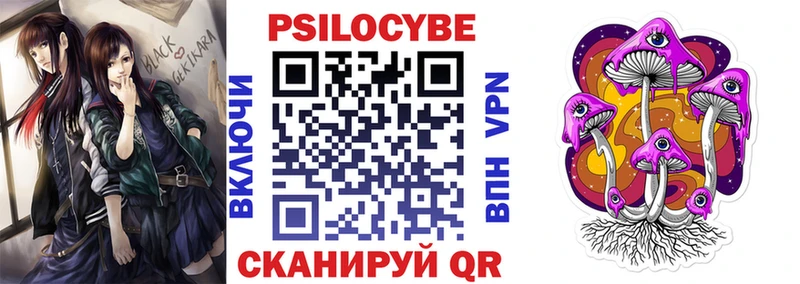 Купить где  Кадников  Галлюциногенные грибы Psilocybe 